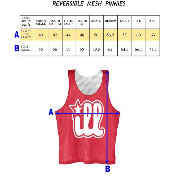 reversible pinnie